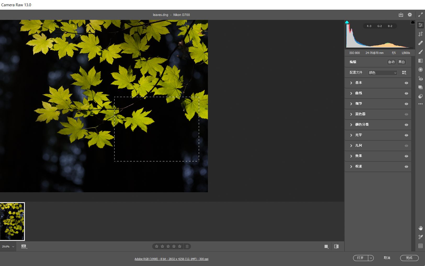 方框缩放 Camera Raw