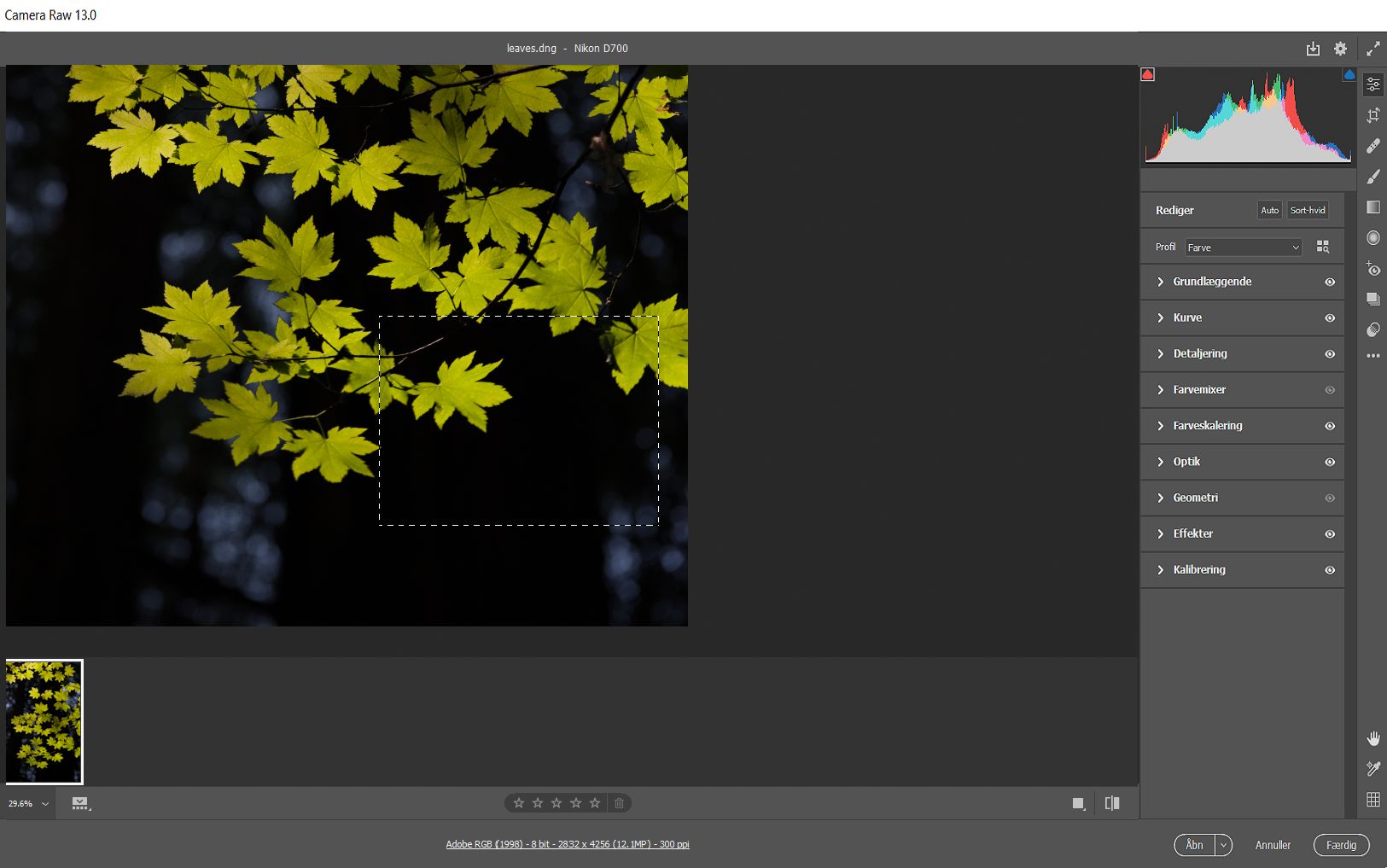 Box Zoom i Camera Raw