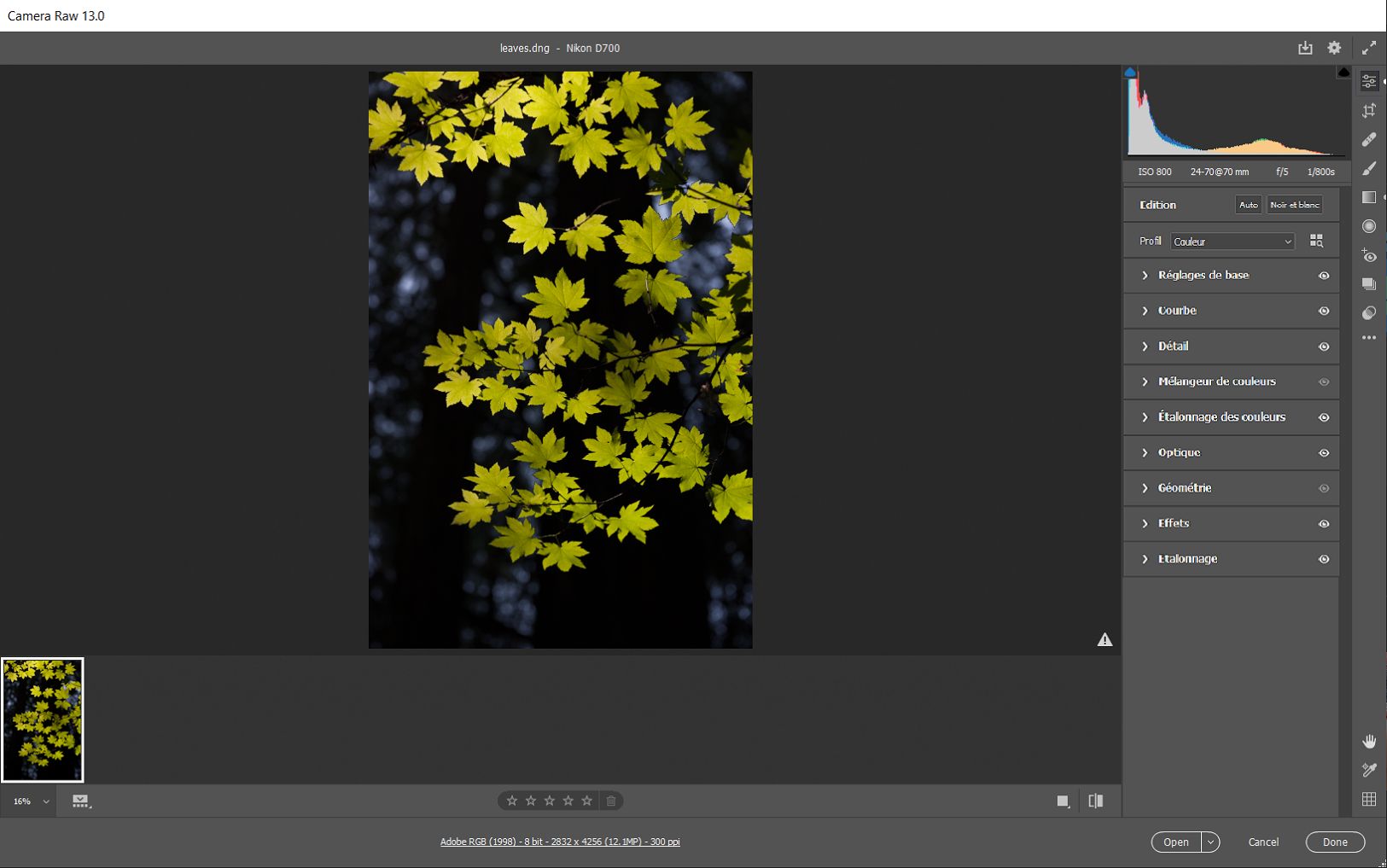 Zoom par zone Camera Raw